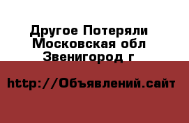 Другое Потеряли. Московская обл.,Звенигород г.